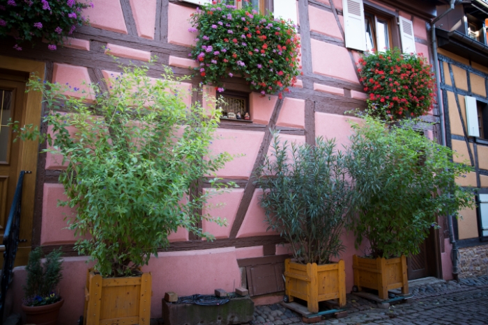 Eguisheim - 132